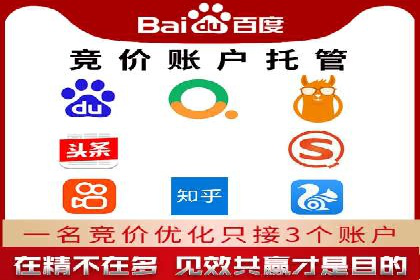 行业内的SEM竞价代运营公司优秀案例剖析
